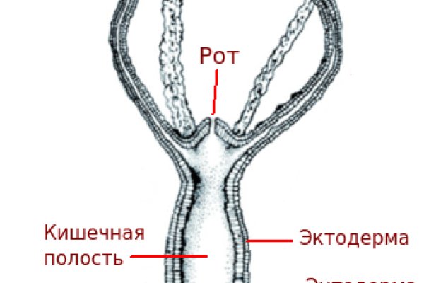 Загрузить фото на блэкспрут с телефона андроид